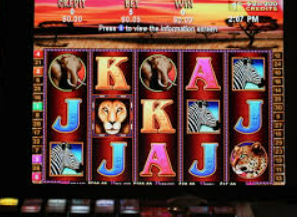 im电竞APP下载2024最新版